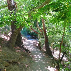 کوهپیمایی گلابدره | 10 مرداد