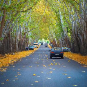 خوانسار پاییزی | 23 آبان ماه 1404