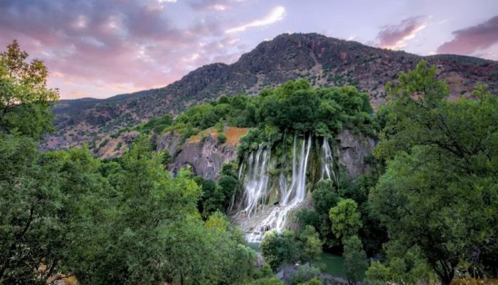 بیشه 1