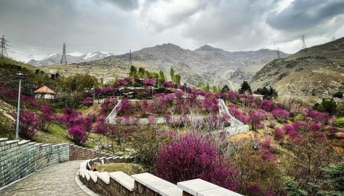 گلابدره 2
