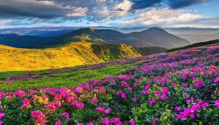 دره گلها ارمنستان