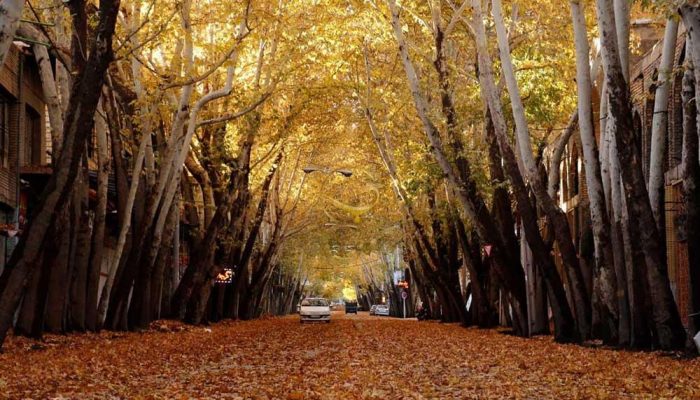 خوانسار1