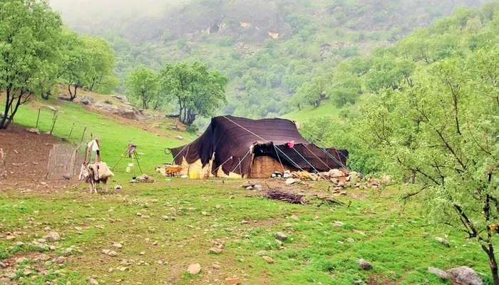 زندگی با عشایر چادر عشایری