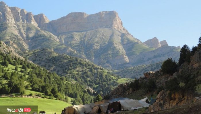 عرب چاه